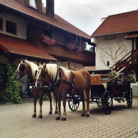 Appartementhaus "Haflinger Hof" Bad Füssing Εξωτερικό φωτογραφία